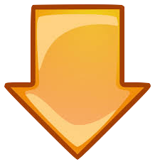 Seta Laranja Seta Laranja