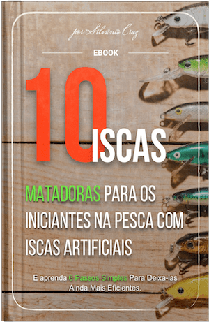 Guia de Pesca Iscas Iniciantes Comp