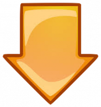 Seta Laranja